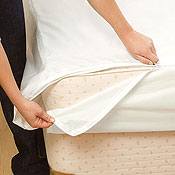 BeneSleep Bed Bug Covers