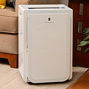 Friedrich 70 pint Low Temperature Dehumidifiers with Built-In Pump