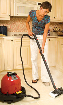 Vapor Steam Cleaners kill bed bugs with high temperature steam. The Ladybug Steamer pictured here is one of our top rated.