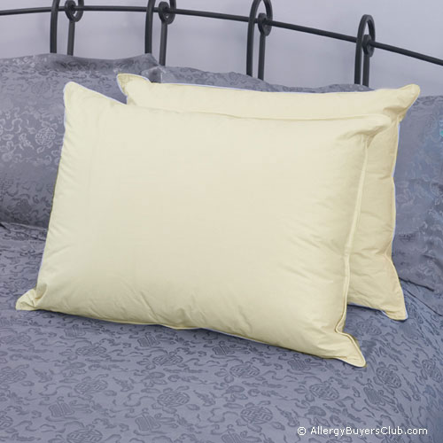 Hypodown 600 Fill Quality Down Pillows