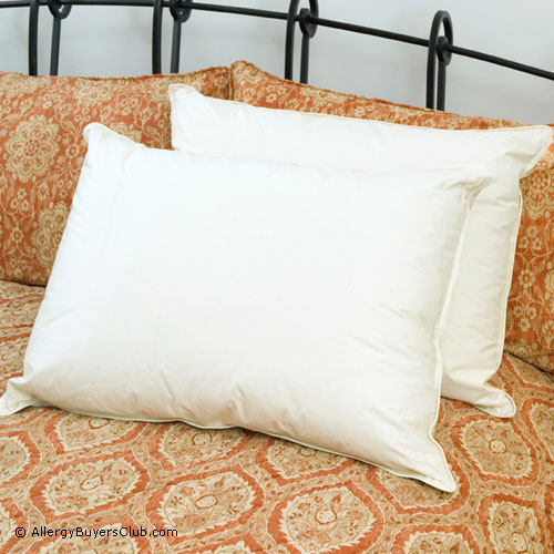 Hypodown 700 Fill Quality Down Pillows