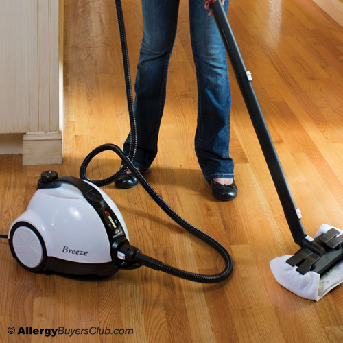 WhiteWing Breeze Steam Cleaner