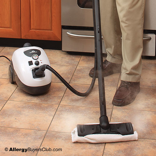 WhiteWing II Steam Cleaner