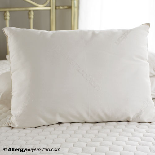 Solus Organic Wool Pearl Pillow